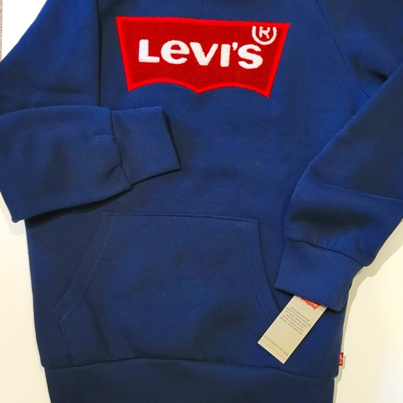 Levi's Logo Hoodie Sweatshirt - Boys - Picture 3 of 6
